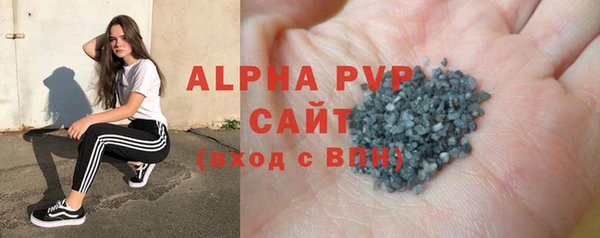 индика Армянск