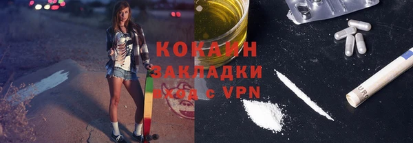 индика Армянск