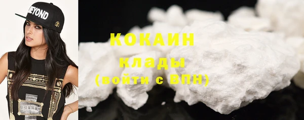 индика Армянск