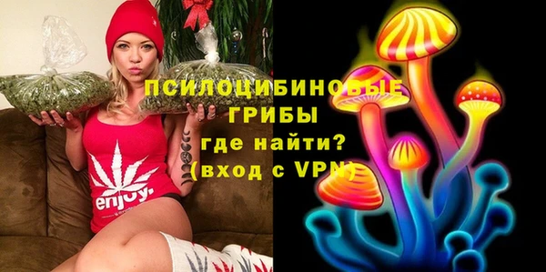 индика Армянск