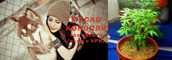 индика Армянск